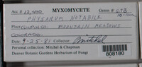 Image Associated With the Occurence